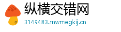 纵横交错网